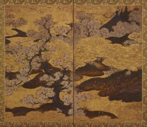 Blühende Kirschbäume